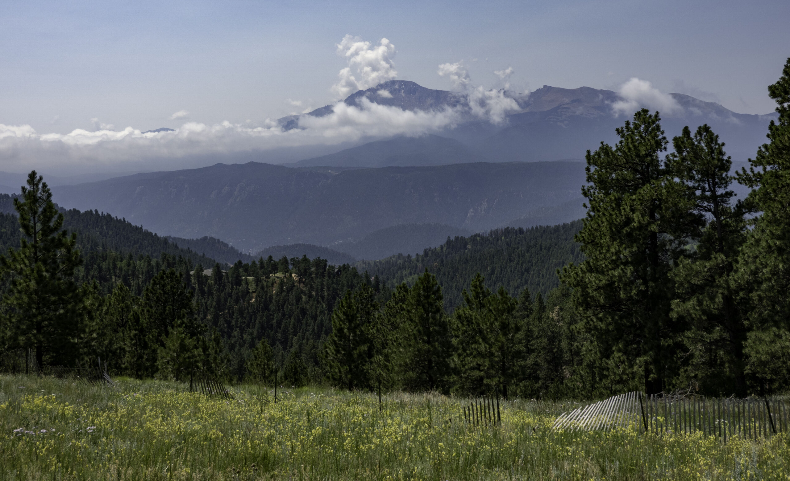 Woodland Park, Colorado July 2025