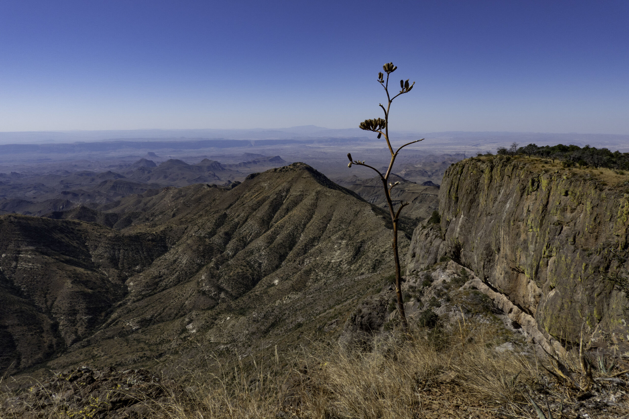 Big Bend National Park 2025
